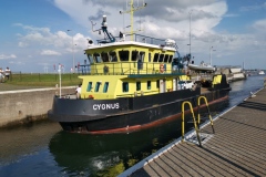 Bruinisse