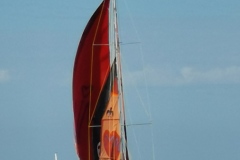 Bruinisse