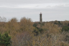 IMG_20201024_134908