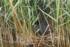 Groeneweg 1-72 Bruinisse