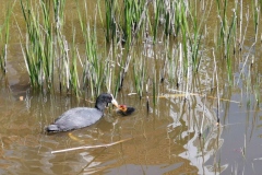 Groeneweg 1-72 Bruinisse