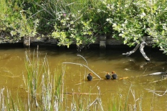 Groeneweg 1-72 Bruinisse