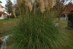 Groeneweg 1-72 Bruinisse