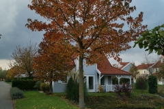 Groeneweg 1-72 Bruinisse