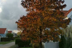 Groeneweg 1-72 Bruinisse