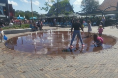 Renesse