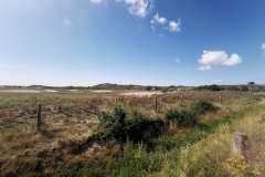 Renesse/ strand