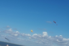 Renesse/ strand