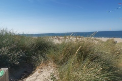 Renesse/ strand