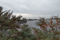 IMG_20201002_151042