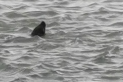 IMG_20201002_164015