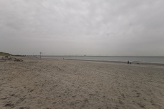 IMG_20201002_171313
