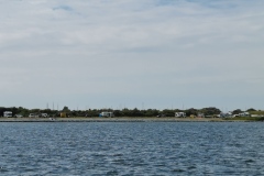 Grevelinge
