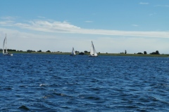 Grevelinge