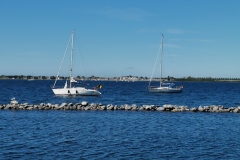 Grevelinge