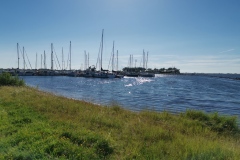 Grevelinge